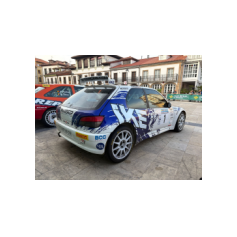 "Zippo" / Denis Piceno - Rally de Asturias Histórico 2025 (Parco Chiuso finale)