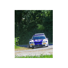 "Zippo" / Denis Piceno - Rallye Weiz Historic 2025