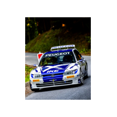 "Zippo" / Denis Piceno - Rallye Weiz Historic 2025