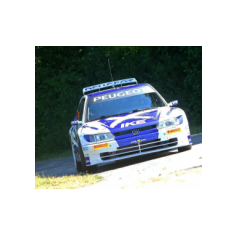 "Zippo" / Denis Piceno - Rallye Weiz Historic 2025