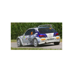 "Zippo" / Denis Piceno - Rallye Weiz Historic 2025