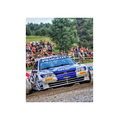 "Zippo" / Denis Piceno - Rallye Weiz Historic 2025