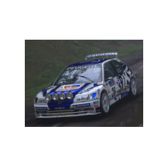 Peugeot 306 Maxi IKE Racing 2026 per Assetto Corsa Rally
