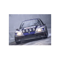 Peugeot 306 Maxi IKE Racing 2026 per Assetto Corsa Rally