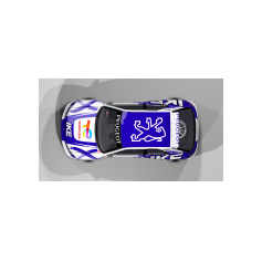 Peugeot 306 Maxi IKE Racing 2026 - François Delecour / Fabrice Gordon - FIA EHRC European Historic Rally Championship - Proposta #3