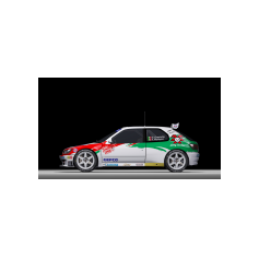 Peugeot 306 Maxi - Davide Craviotto / Fabrizio Piccinini, 2025