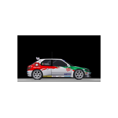 Peugeot 306 Maxi - Davide Craviotto / Fabrizio Piccinini, 2025