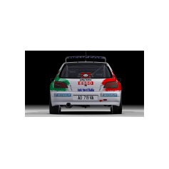 Peugeot 306 Maxi - Davide Craviotto / Fabrizio Piccinini, 2025