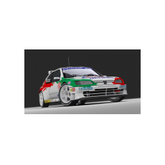 Peugeot 306 Maxi - Davide Craviotto / Fabrizio Piccinini, 2025