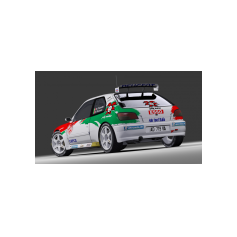 Peugeot 306 Maxi - Davide Craviotto / Fabrizio Piccinini, 2025