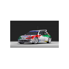 Peugeot 306 Maxi - Davide Craviotto / Fabrizio Piccinini, 2025