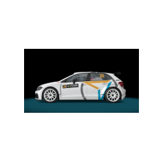 Volkswagen Polo N5 RMC - Luciano Visintin / Maurizio Tiveron - Programma rally vari - Proposta #1