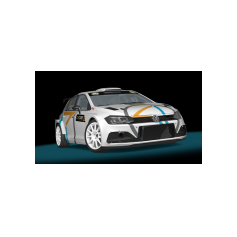 Volkswagen Polo N5 RMC - Luciano Visintin / Maurizio Tiveron - Programma rally vari - Proposta #1