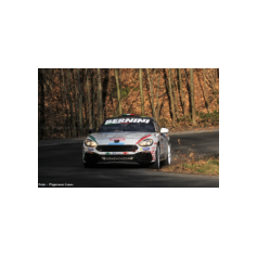 Fabio Andolfi / Manuel Fenoli - Rally Ronde del Canavese 2017