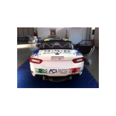 Fabio Andolfi / Manuel Fenoli - Rallye Automobile de Monte-Carlo 2017