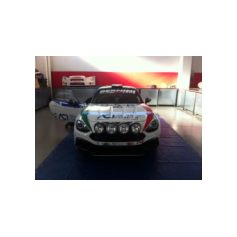 Fabio Andolfi / Manuel Fenoli - Rallye Automobile de Monte-Carlo 2017