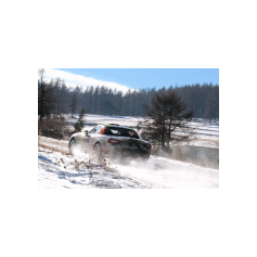 Fabio Andolfi / Manuel Fenoli - Rallye Automobile de Monte-Carlo 2017