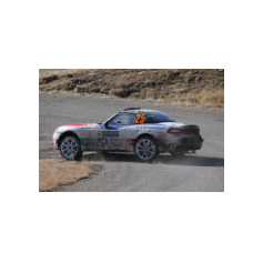 Fabio Andolfi / Manuel Fenoli - Rallye Automobile de Monte-Carlo 2017