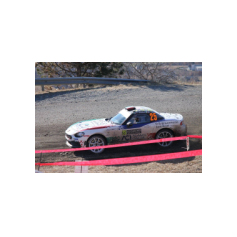 Fabio Andolfi / Manuel Fenoli - Rallye Automobile de Monte-Carlo 2017