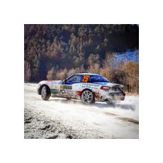 Fabio Andolfi / Manuel Fenoli - Rallye Automobile de Monte-Carlo 2017