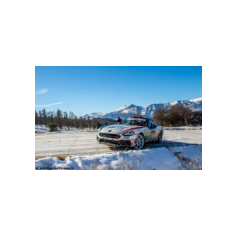 Fabio Andolfi / Manuel Fenoli - Rallye Automobile de Monte-Carlo 2017