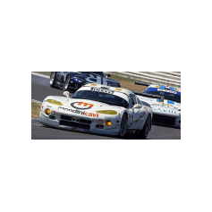 Adriano Baso e Piergiuseppe Perazzini - Campionato Italiano GT 2004 - Misano Adriatico II