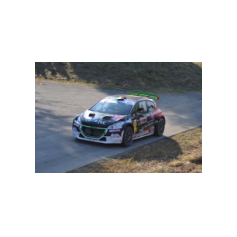 Andrea Basso / Matteo Gambasin - Rally Città di Scorzé 2018