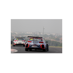 Dušan Borković e Gabriele Tarquini - TCR 2017 - Zhejiang