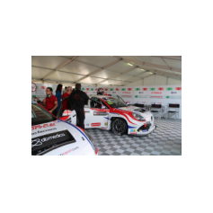 Davit Kajaia e Dušan Borković - TCR 2017 - Monza