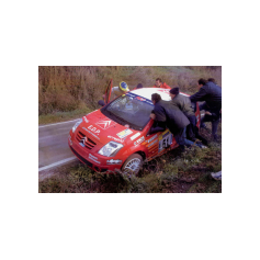 Simone Campedelli / Luca De Rizzo - Rally Ronde del Rubicone 2004