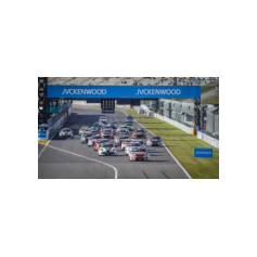 Luigi Ferrara e Kevin Ceccon - WTCR 2018 - Suzuka International Racing Course (JPN)