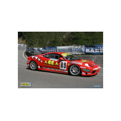 Guido Cianciulli - Trofeo Luigi Fagioli - Gubbio/Madonna della Cima 2008 Guido Cianciulli - Trofeo Luigi Fagioli - Gubbio/Madonna della Cima 2008