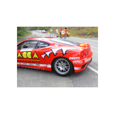 Guido Cianciulli - Trofeo Luigi Fagioli - Gubbio/Madonna della Cima 2008 Guido Cianciulli - Trofeo Luigi Fagioli - Gubbio/Madonna della Cima 2008