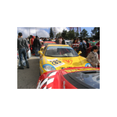 Riccardo Errani - Monte Erice 2004