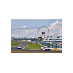 Kevin Ceccon e Luigi Ferrara - WTCR 2018 - Suzuka International Racing Course (JPN)