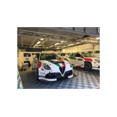 Fabrizio Giovanardi e Gianni Morbidelli - WTCR 2018 - Hungaroring (HUN)