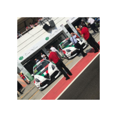 Fabrizio Giovanardi e Gianni Morbidelli - WTCR 2018 - Hungaroring (HUN)