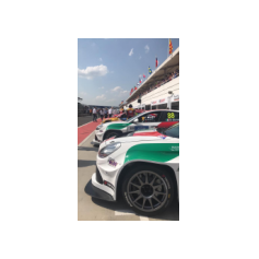 Fabrizio Giovanardi e Gianni Morbidelli - WTCR 2018 - Hungaroring (HUN)