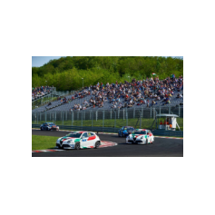 Fabrizio Giovanardi e Gianni Morbidelli - WTCR 2018 - Hungaroring (HUN)