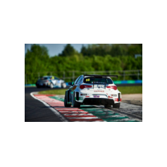 Fabrizio Giovanardi - WTCR 2018 - Hungaroring (HUN)