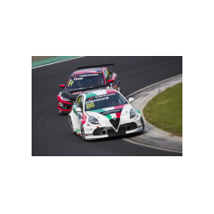 Fabrizio Giovanardi - WTCR 2018 - Hungaroring (HUN)