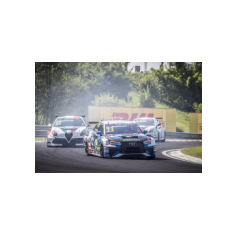 Fabrizio Giovanardi e Gianni Morbidelli - WTCR 2018 - Hungaroring (HUN)