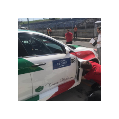 Fabrizio Giovanardi - WTCR 2018 - Hungaroring (HUN)