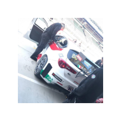 Fabrizio Giovanardi - WTCR 2018 - Hungaroring (HUN)