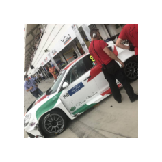 Fabrizio Giovanardi - WTCR 2018 - Hungaroring (HUN)
