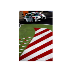 Fabrizio Giovanardi - WTCR 2018 - Moulay El Hassan (MAR)