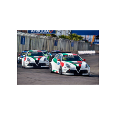 Fabrizio Giovanardi e Gianni Morbidelli - WTCR 2018 - Moulay El Hassan (MAR)