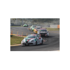 Fabrizio Giovanardi - WTCR 2018 - Ningbo International Speedpark (CHN)