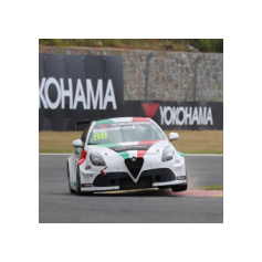 Fabrizio Giovanardi - WTCR 2018 - Ningbo International Speedpark (CHN)