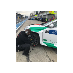 Fabrizio Giovanardi - WTCR 2018 - Nürburgring Nordschleife (DEU)